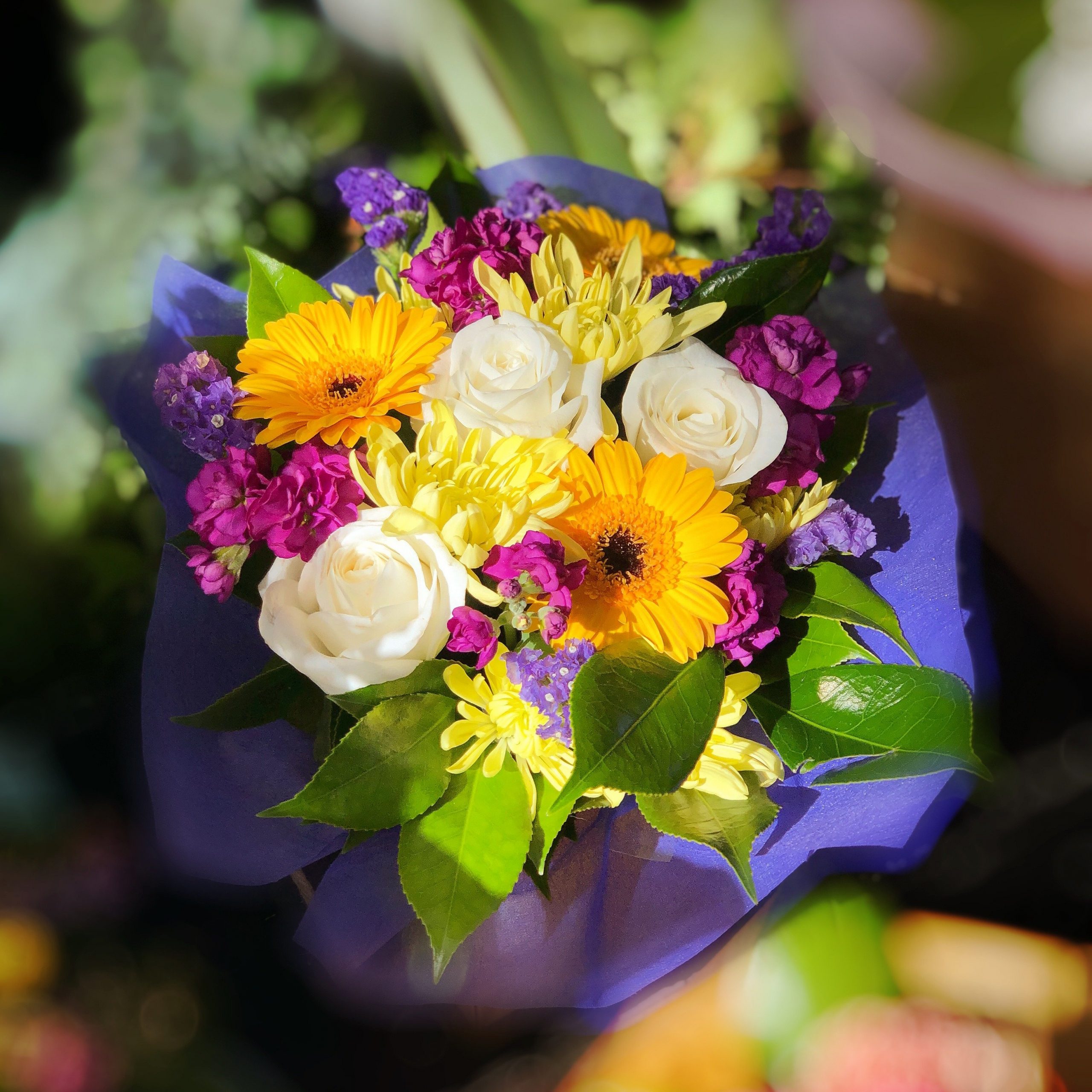 IMG_9873 SPRING-LOVE-flower