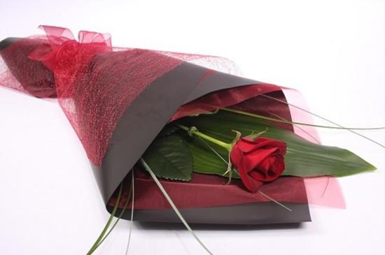 single_red_rose.1 SINGLE-RED-ROSE